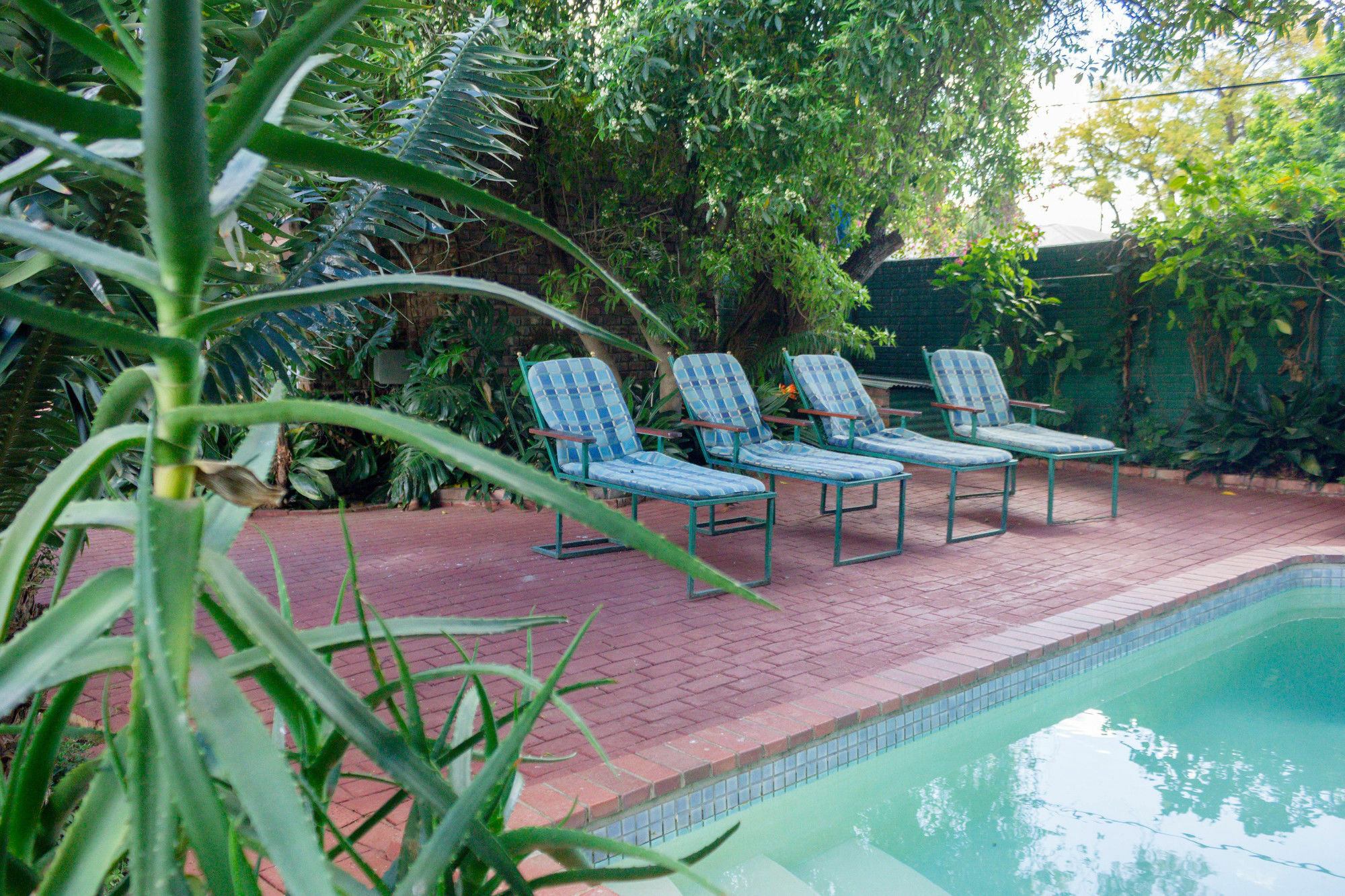 Adley House Bed & Breakfast Oudtshoorn Ngoại thất bức ảnh